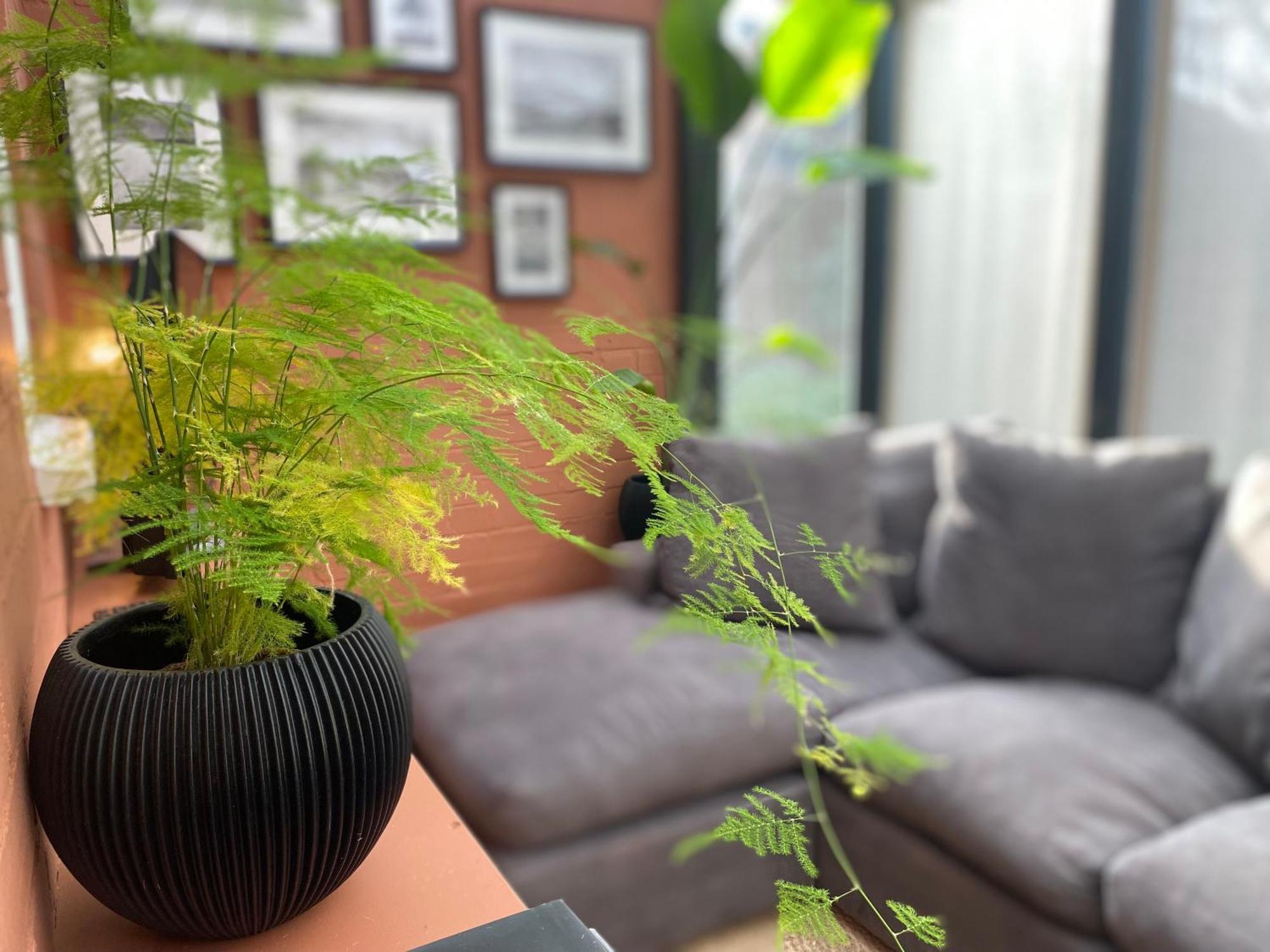 Beautifully Appointed One-Bedroom Cottage Shepreth Kültér fotó